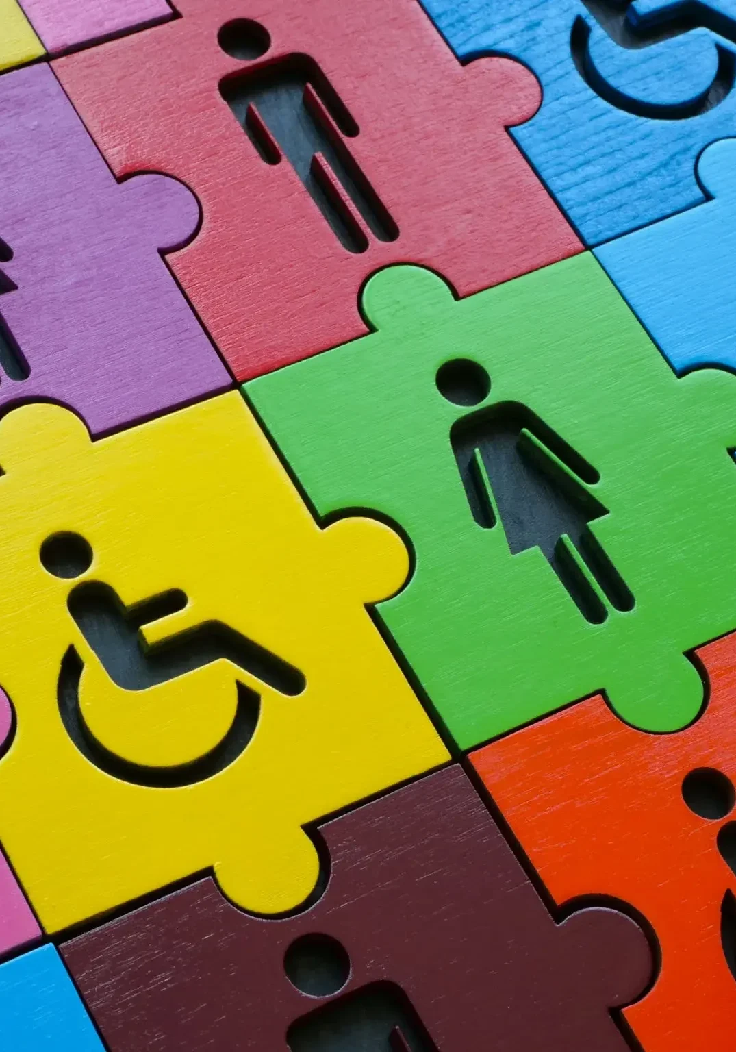 A colorful puzzle with people and handicapped symbols.